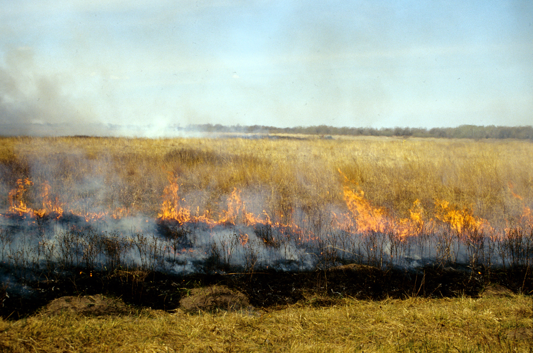 This wildfire is burning rangeland in southeastern North Dakota.
