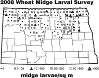 2008 Wheat Midge Larval Survey - Midge Larvae/sq m