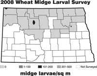 2008 Wheat Midge Larval Survey - Midge Larvae/sq m