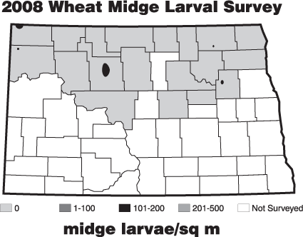 2008 Wheat Midge Larval Survey - Midge Larvae/sq m