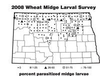 2008 Wheat Midge Larval Survey - Percent Parasitized Midge Larvae
