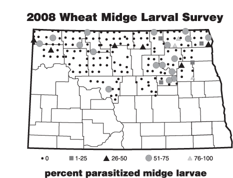 2008 Wheat Midge Larval Survey - Percent Parasitized Midge Larvae