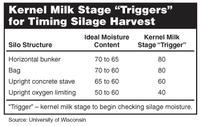 Kernel Milk Stage ""Triggers"" for Timing Silage Harvest