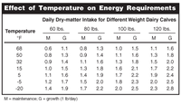 Effect of Temperature on Energy Requirements