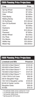 2009 Planning Price Projections