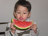 Joe Kalb of Bismarck does a taste test to help evaluate watermelon varieties.