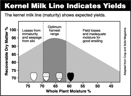 Kernel Milk Line Indicates Yields