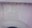 Bacteria caused this line of a pinkish-red substance to form in a toilet bowl.