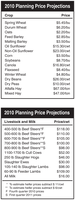 2010 Planning Price Projections