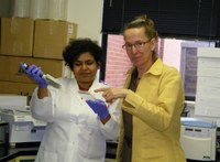 NDSU Ph.D. student Preeti Sule, left, and assistant professor Birgit Pruess study an E. coli strain grown on the surface of meat.