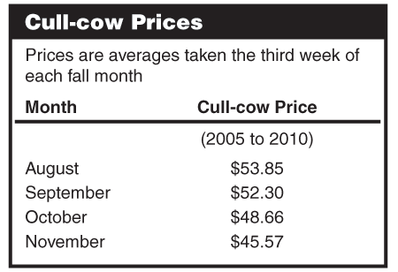 Cull-cow Prices