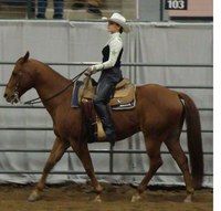Shannon Voges, a captain of NDSU's Western equestrian team, earns the title of high point rider in recent competition.
