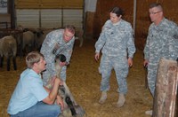 ADT members learning more about sheep from Reid Redden, assistant professor in the NDSU Animal Sciences Department and the Extension Service sheep specialist.