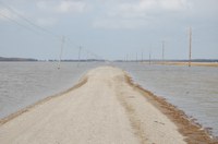 Flooded Road In Cass County