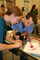NDSU Vet Tech program students examine a cat.