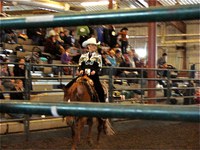 Codie Miller, a member of NDSU's Western equestrian team, rides in regional competition.