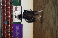 Shannon Voges, a member of NDSU's equestrian team, competes in the American Quarter Horse Association High Point Western Rider event at the Intercollegiate Horse Show Association's national competition in Raleigh, N.C.