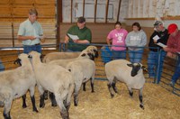 NDSU Extension Service sheep specialist Reid Redden, left, and Sheep Unit manager Skip Anderson (center) talk to sheep producers about a national performance-based genetic evaluation program for sheep during a recent open house at the NDSU Sheep Unit.