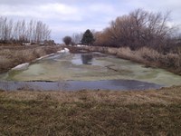 Manure storage facilities such as this containment pond at NDSU's Carrington Research Extension Center need to be protected during a flood. (NDSU photo).