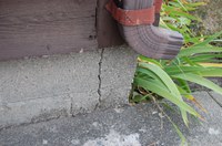 Soil shrinkage can cause concrete slabs under buildings to crack. (NDSU photo)