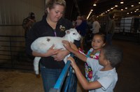 Kids pet a lamb during NDSU's 2012 Moos, Ewes and More educational event. (NDSU photo)