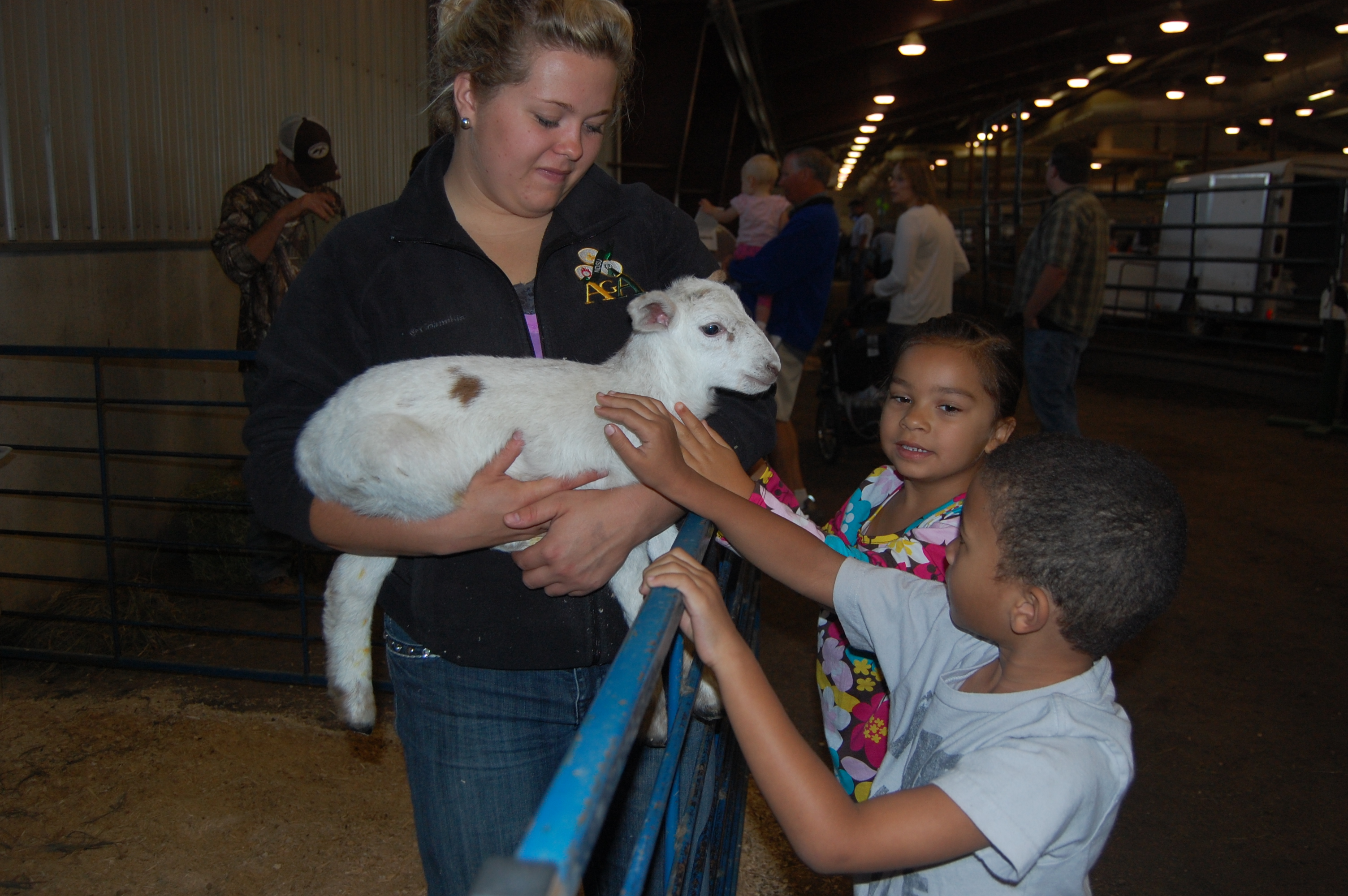 Kids pet a lamb during NDSU's 2012 Moos, Ewes and More educational event. (NDSU photo)