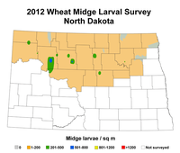 2012 Wheat Midge Larval Survey North Dakota