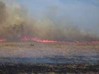This prescribed burn is in the Theodore Roosevelt National Park in western North Dakota. (Photo courtesy of the National Park Service)