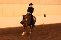 NDSU Western equestrian team member Janna Rice is named reserve high-point rider at two competitions this fall.