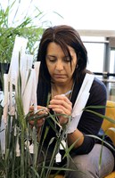 Maricelis Acevedo, Assistant Professor, NDSU Department of Plant Pathology