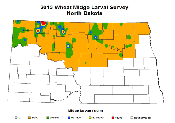 2013 Wheat Midge Larval Survey North Dakota