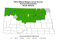 2013 Wheat Midge Larval Survey Percent Parasitism North Dakota