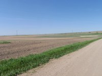 A salt spot is visible in a field in central North Dakota. (NDSU photo)