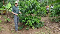 Hans Kandel, NDSU Extension agronomist, visits a new coffee plantation in Uganda as part of his effort to help increase the African country's coffee production. (NDSU photo)