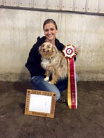 Nicole Anderson, a freshman from Fergus Falls, Minn., won the high-point rider title for the region at competition in Fargo in February and will advance to national competition in May. (NDSU photo)