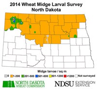 2014 wheat midge larval survey in North Dakota