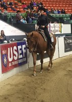 NDSU equestrian team member Nicole Anderson competes in the Intercollegiate Horse Show Association's National Horse Show in West Springfield, Mass.