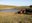 Stock dams and dugouts commonly are used to supply water to grazing livestock. (NDSU photo)