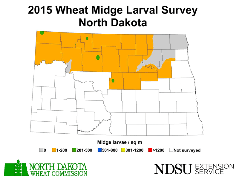 2015 Wheat Midge Larval Survey North Dakota