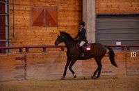 NDSU hunt seat rider Rebecca Prasch competes in the open flat class. (NDSU photo)