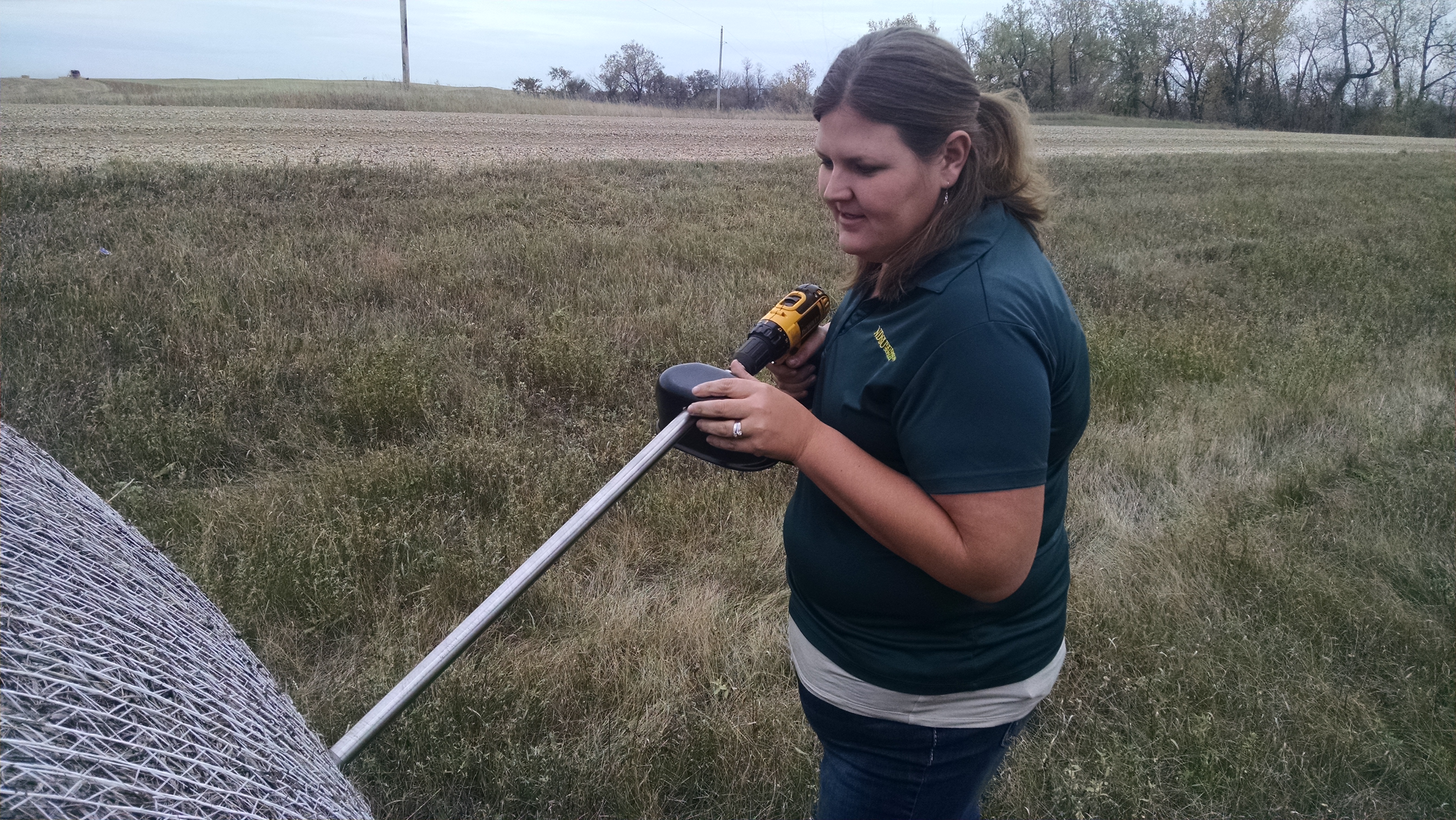 Paige Brummund, Extension agriculture and natural resources agent for Ward County, takes a sample from a hay bale for a ditch hay quality study. (NDSU photo)