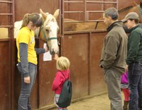 A child meets one of the horses at NDSU's Equine Center during the 2015 Moos, Ewes and More! program. (NDSU photo)