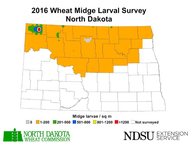 2016 Wheat Midge Larval Survey - North Dakota