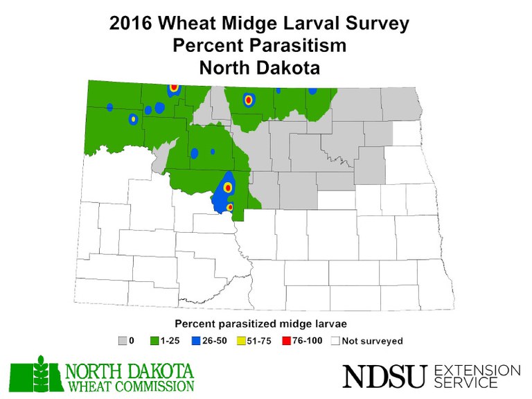2016 Wheat Midge Larval Survey - Percent Parasitism - North Dakota