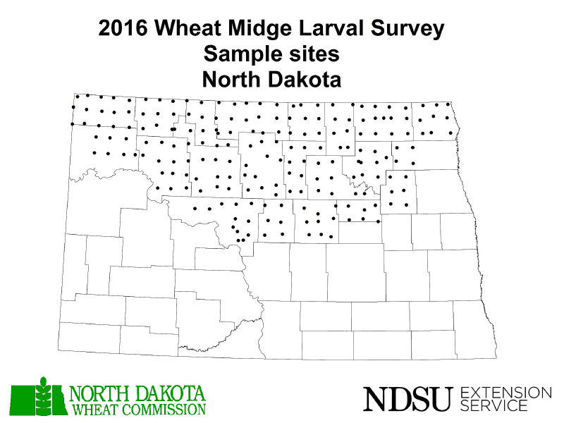 2016 Wheat Midge Larval Survey - Sample Sites - North Dakota