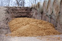Dried distillers grains may be a low cost feed option during times of drought. (NDSU Photo)