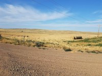 Multiple agencies have partnered to create a comprehensive resource for livestock producers dealing with drought. (NDSU Photo)