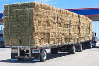 NDSU's FeedList allows farmers and ranchers in other areas to donate feedstuffs easily to  North Dakota ranchers who are short of pasture, hay and other livestock feed due to drought. (iStock Photo)