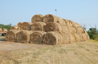 A location near the NDSU campus in Fargo will accept hay donations, which will then be offered to eligible producers in a hay lottery. (NDSU Photo)