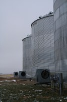 Operating aeration fans during cool mornings can cool grain in the upper portion of the grain bin. (NDSU photo)